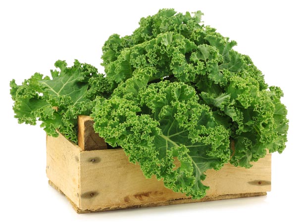 Bột cải xoăn Kale 44 gói hàng nhật nội địa